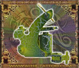 �òʻ�
